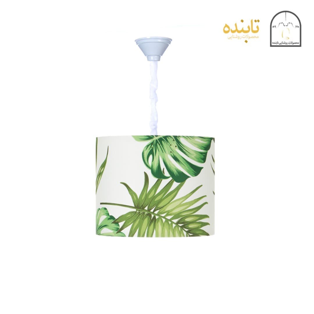لوستر هاواییG
