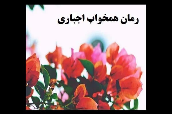 رمان همخواب اجباری pdf