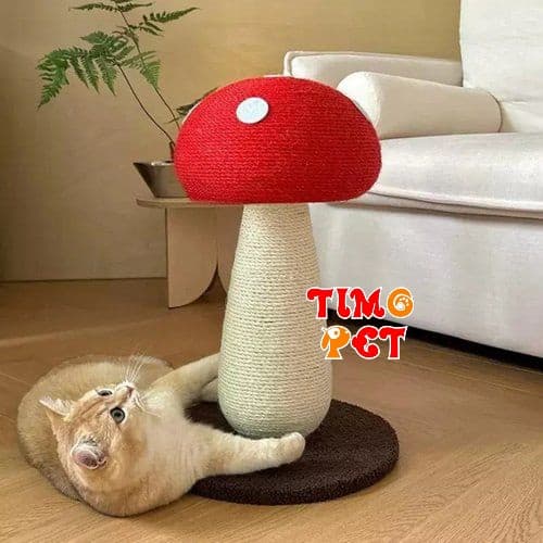 اسکرچر گربه مدل قارچ بزرگ