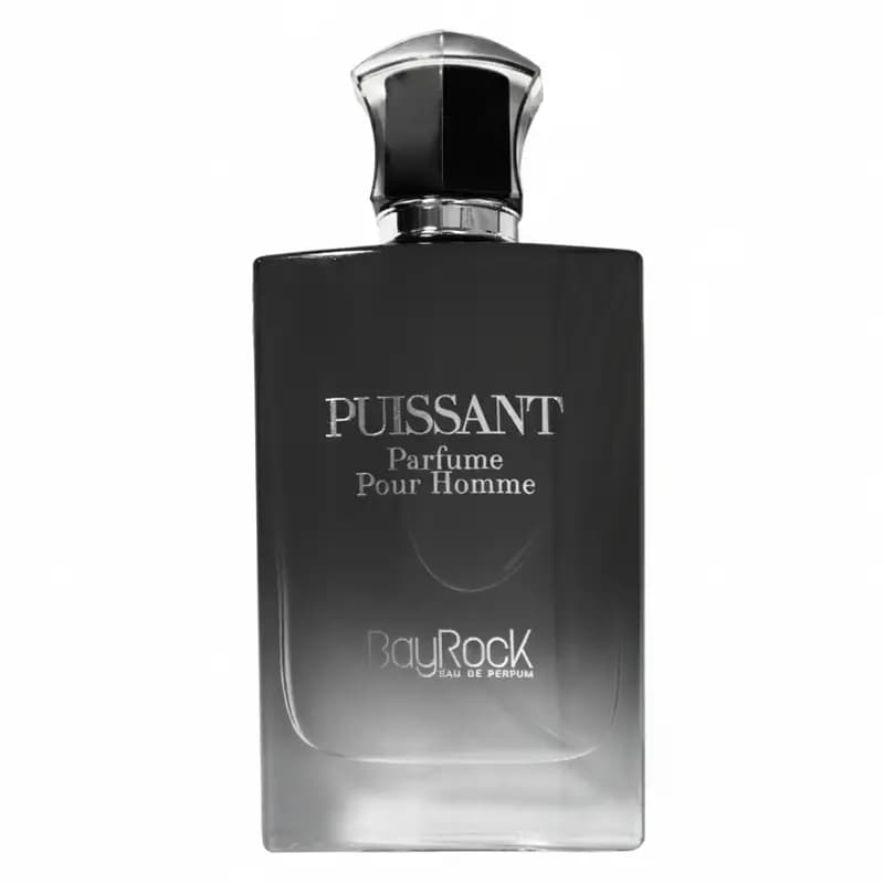 ‎ادکلن مردانه پویسانت بایراک 100 میل | BayRock Puissant — تصویر ۲