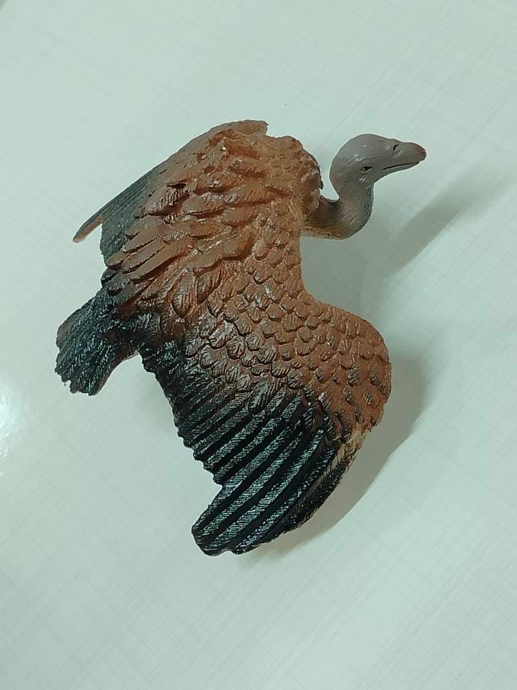 فیگور کرکس فیگور پرندگان