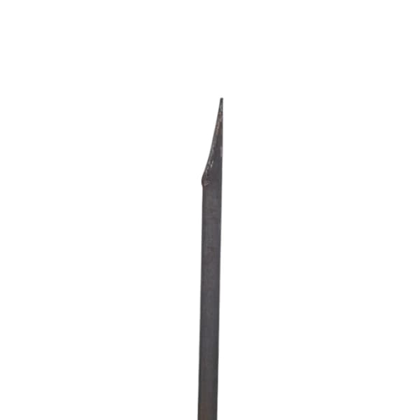 دیلم