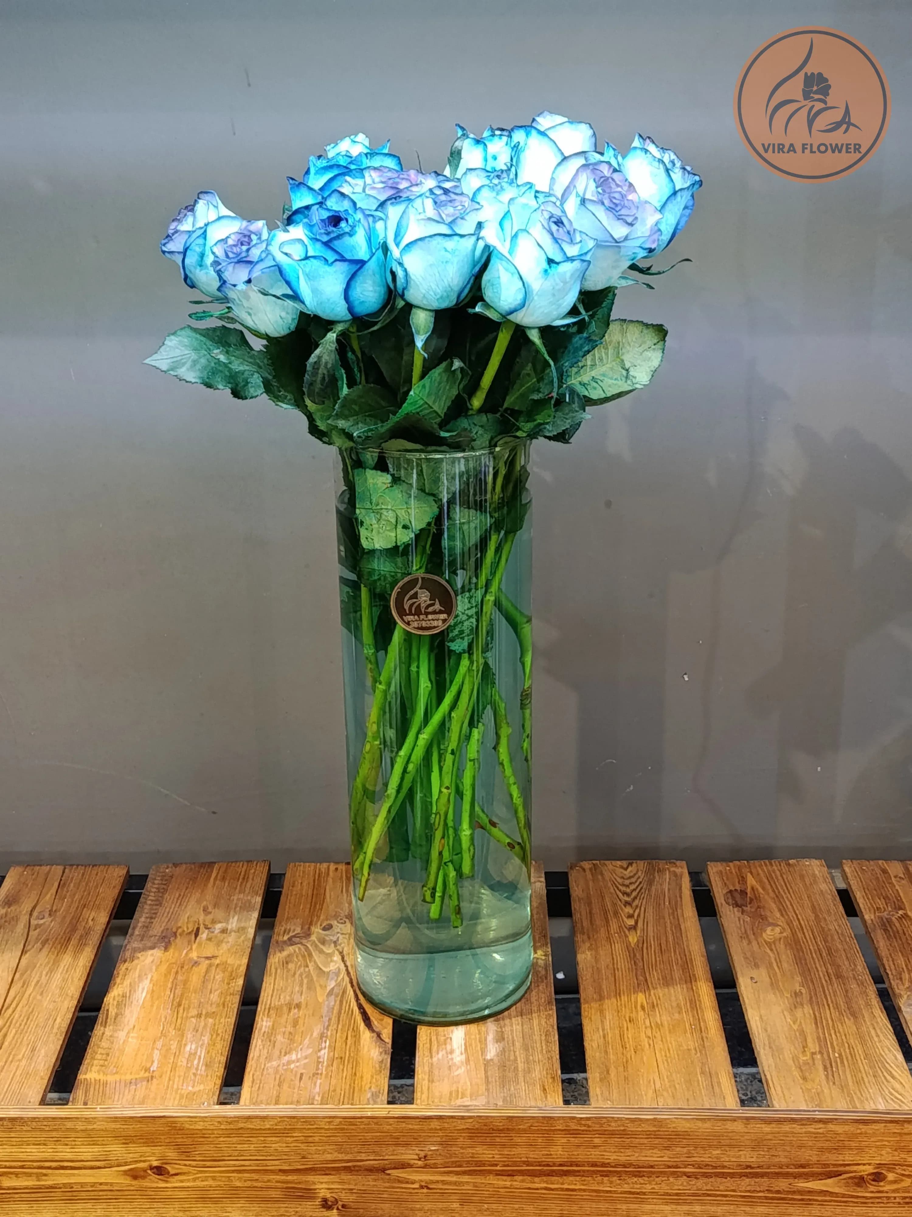 رز آبی شاخه ای