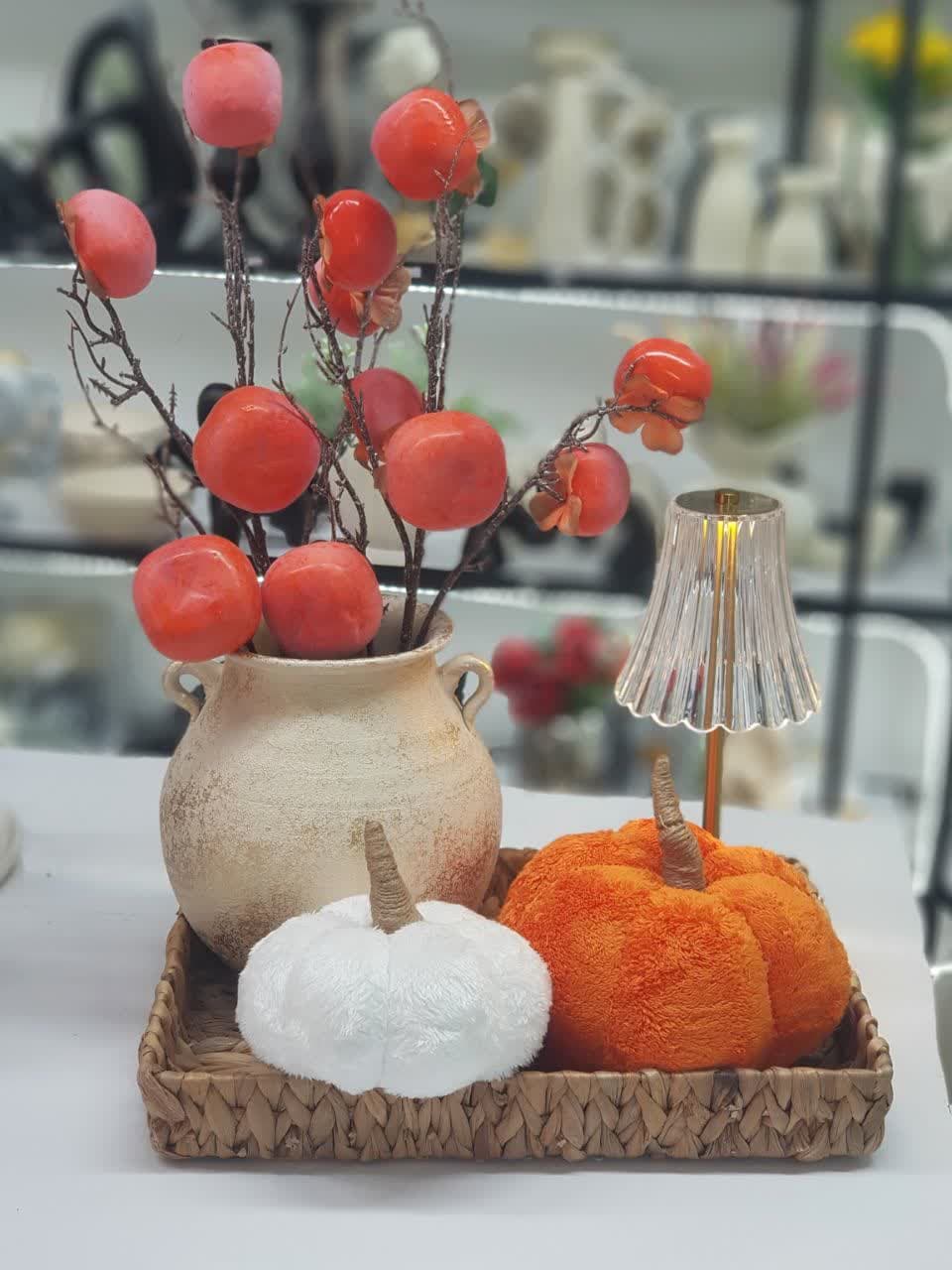 کدو پولیشی دکوری — تصویر ۴