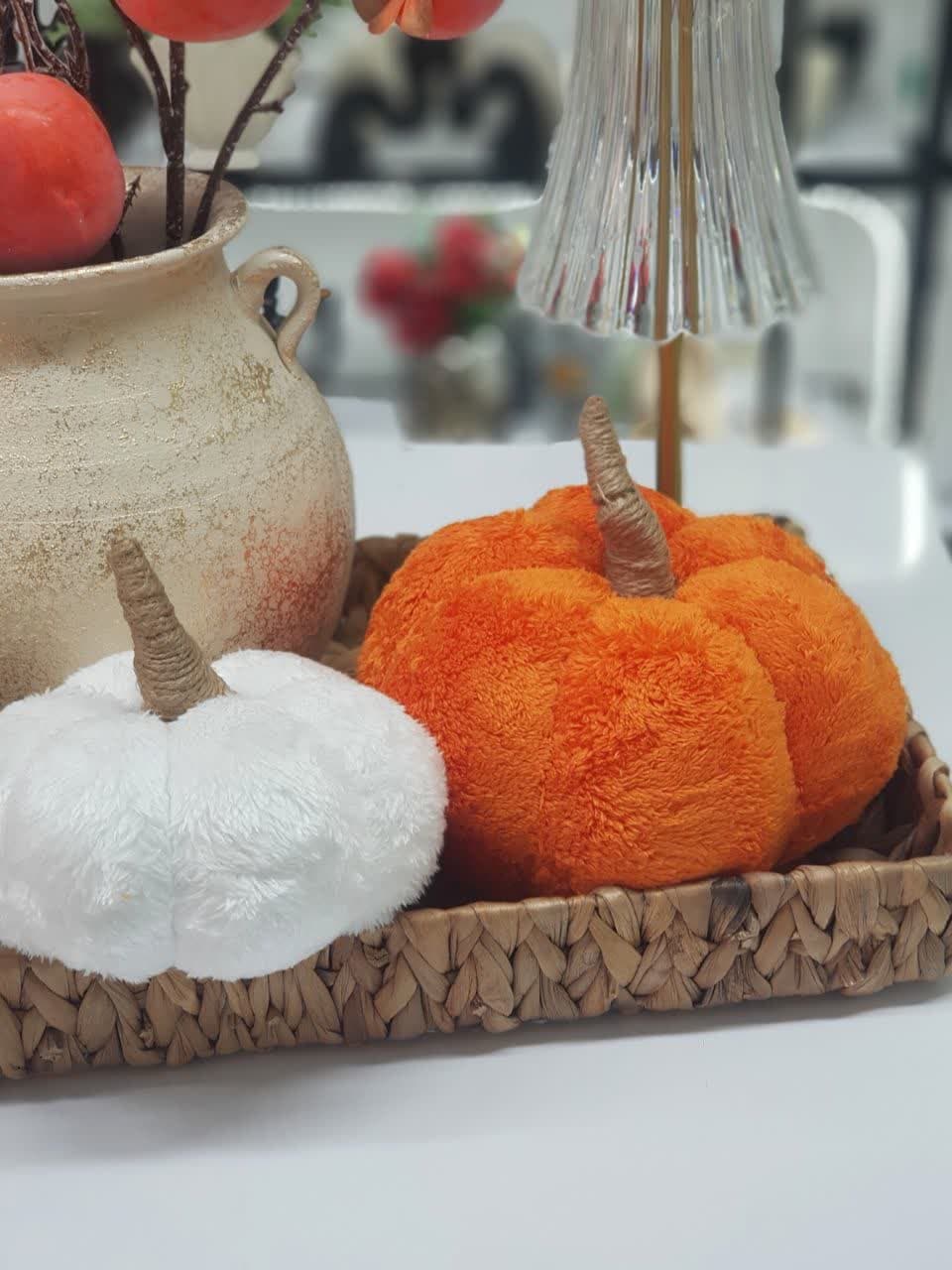 کدو پولیشی دکوری — تصویر ۳