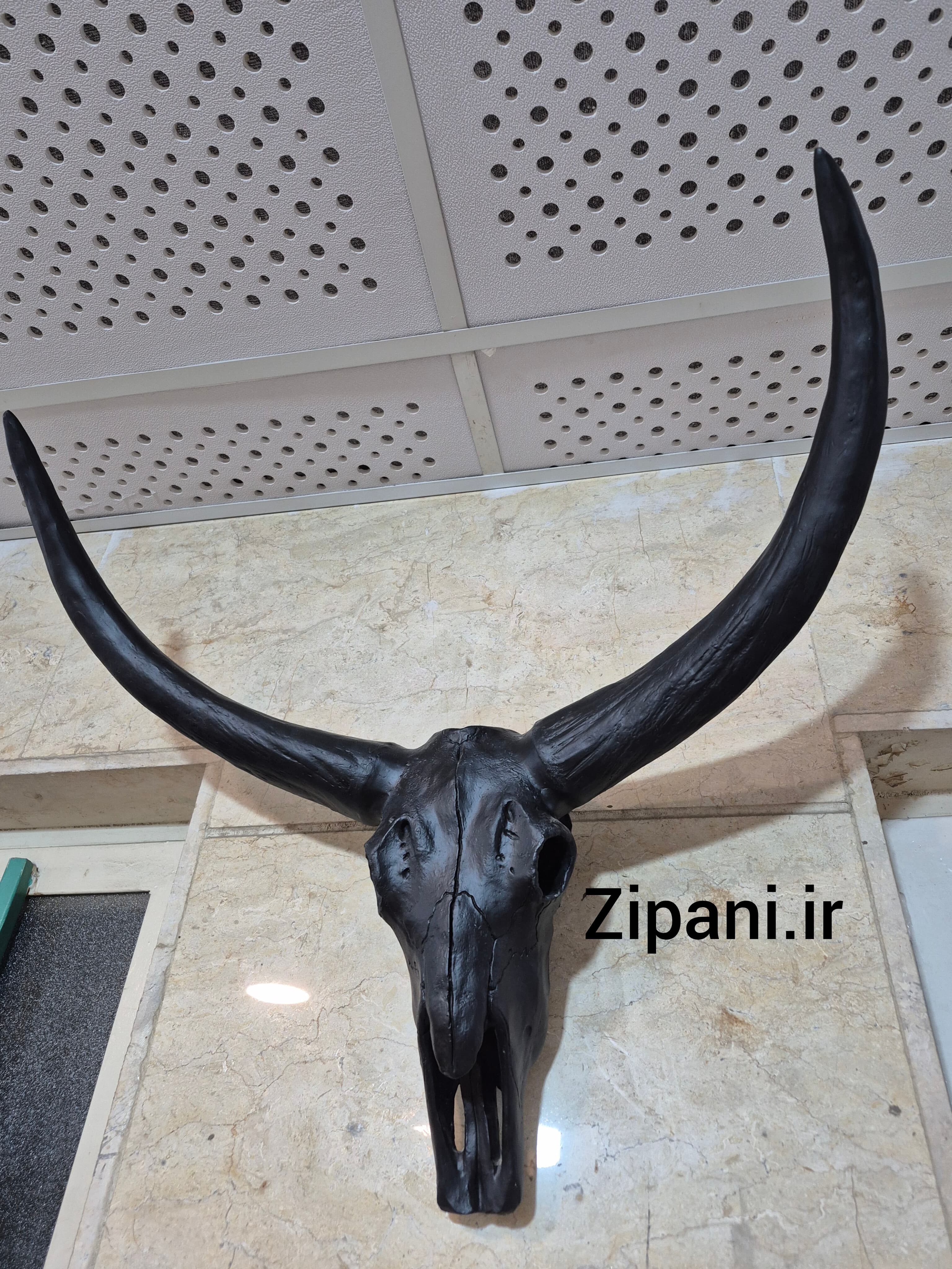 دیوارکوب مدل اسکلت گاو کد cu2