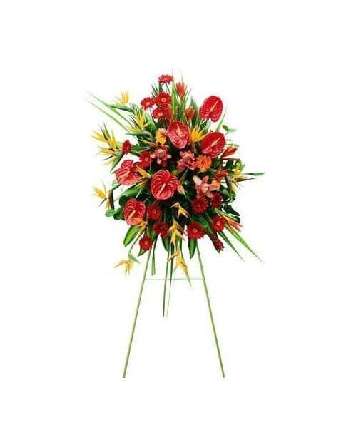 پایه گل آنتوریوم استرزیا و ژربرا