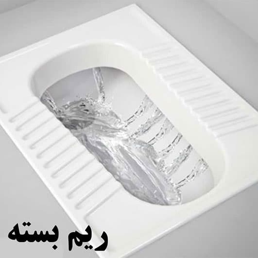 توالت زمینی گلسار مدل مارانتا ۱۹ ریم بسته — تصویر ۲