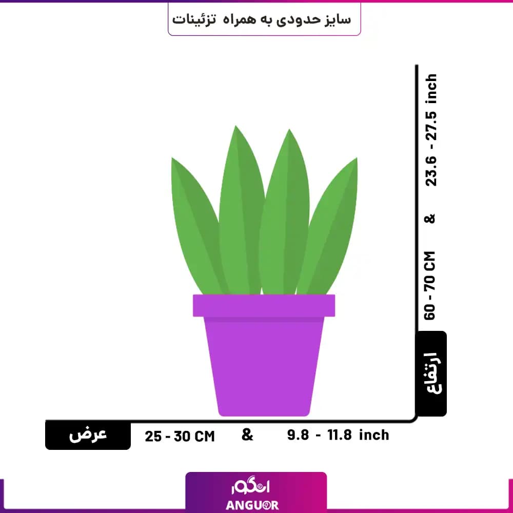 گلدان سانسوریا ابلق — تصویر ۳