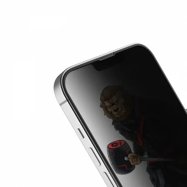 محافظ صفحه نمایش شیشه ای حریم خصوصی آیفون 12 و 12 پرو گرین Green 3D Forte Privacy Glass Full Curved Screen Protector for iPhone 12 / 12 Pro GNPCHDPVG12P — تصویر ۵