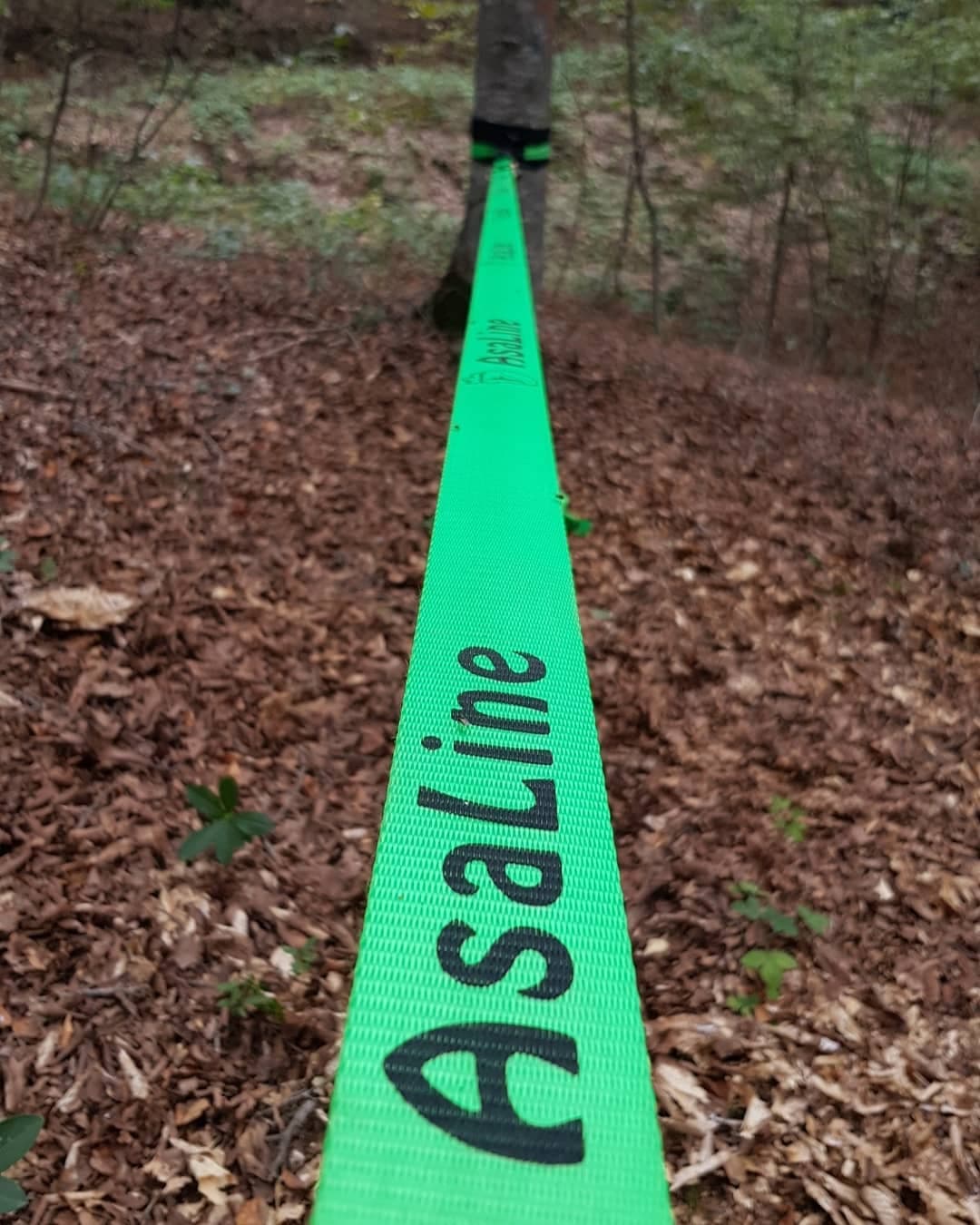 بسته خود آموز اسلک لاین آسالاین ASALINE SLACKLINE — تصویر ۴