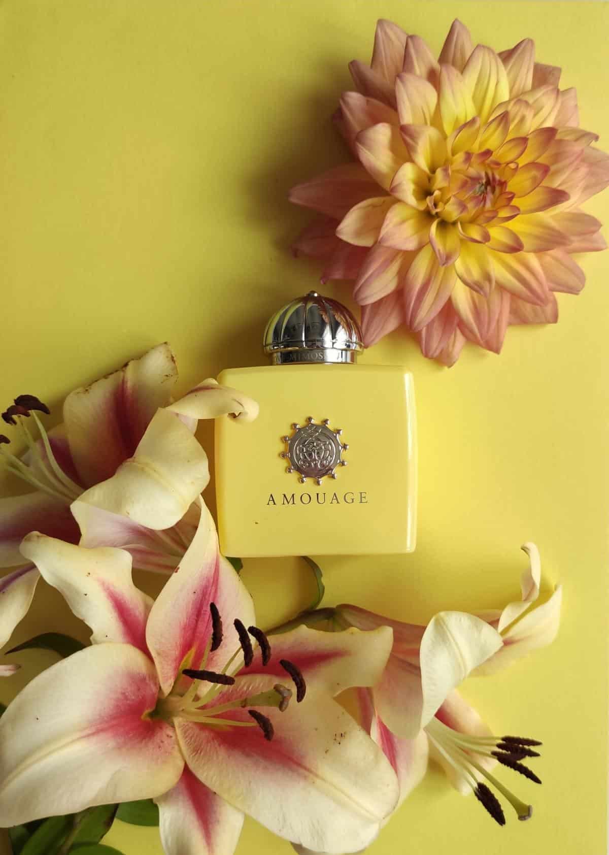 عطر ادکلن آمواج لاو میموسا اصل | Amouage Love Mimosa 100 ml