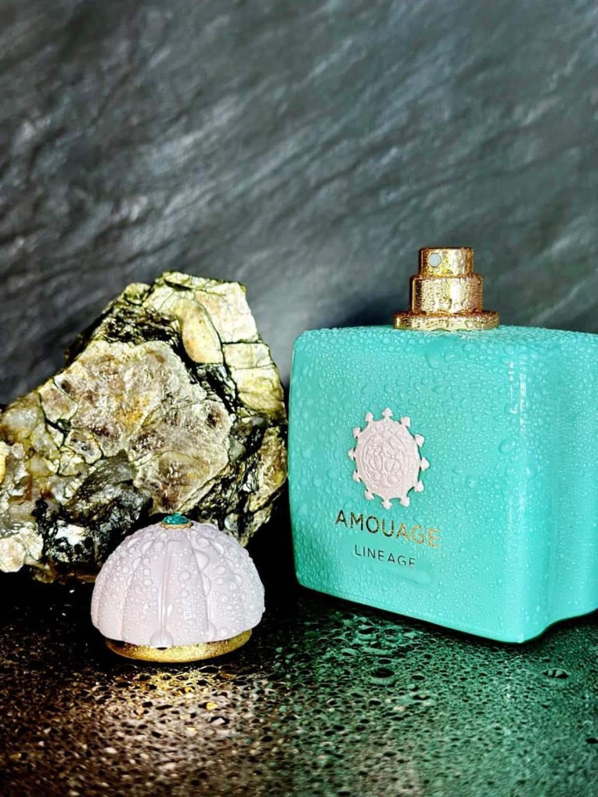 عطر ادکلن آمواج لینیج اصل | Amouage Lineage 100 ml