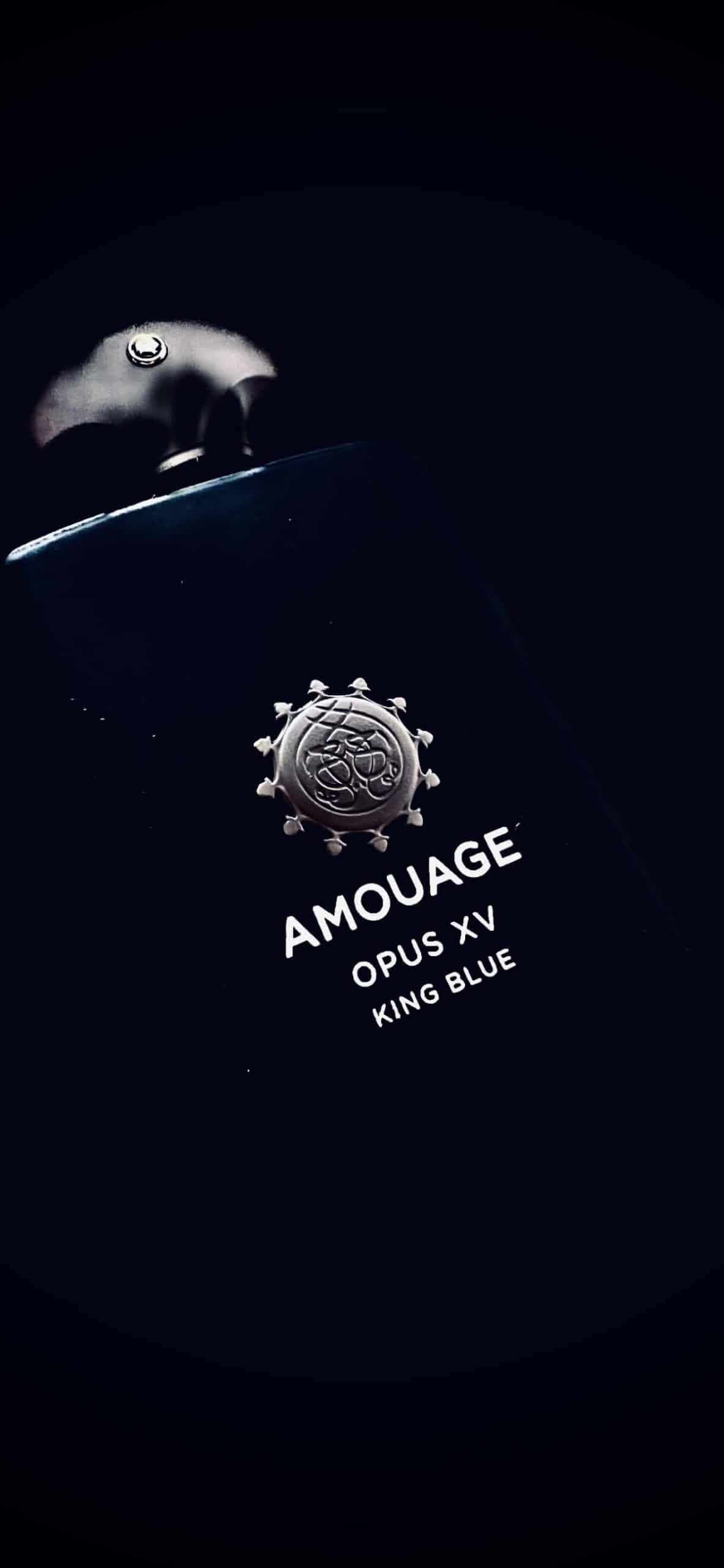 عطر ادکلن آمواج اوپوس 15 کینگ بلو اصل | Amouage Opus XV – King Blue 100 ml — تصویر ۲