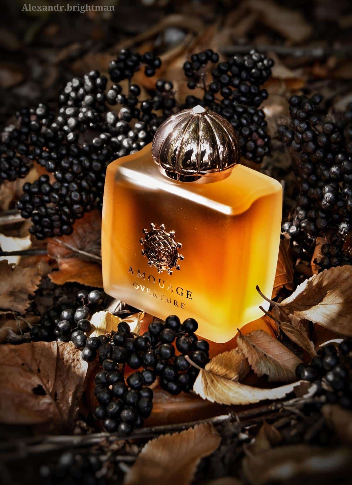 عطر ادکلن آمواج اورتور زنانه اصل | Amouage Overture Women 100 ml — تصویر ۳