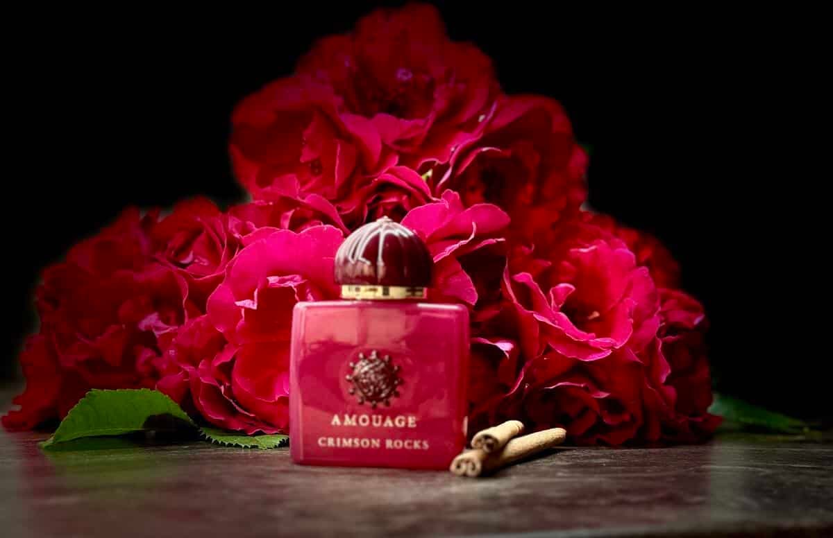 عطر ادکلن آمواج کریمسون راکز اصل | Amouage Crimson Rocks 100 ml — تصویر ۲