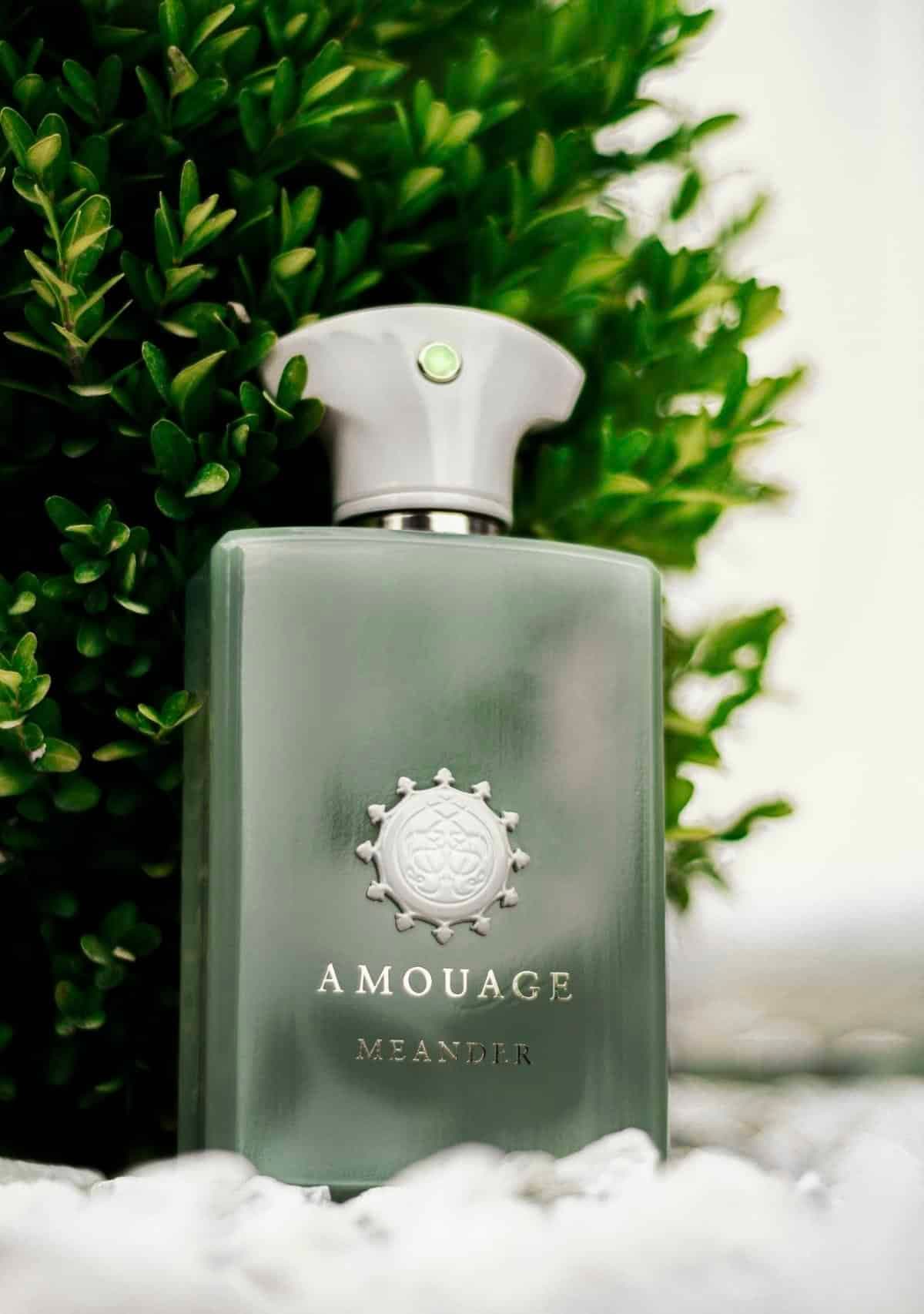 عطر ادکلن آمواج میندر اصل | Amouage Meander 100 ml — تصویر ۳