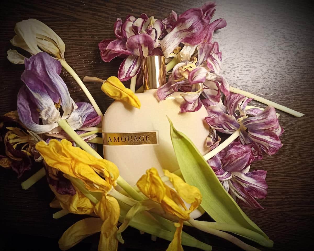 عطر ادکلن امواج اوپوس هشت اصل | Amouage Opus VIII 100 ml — تصویر ۲