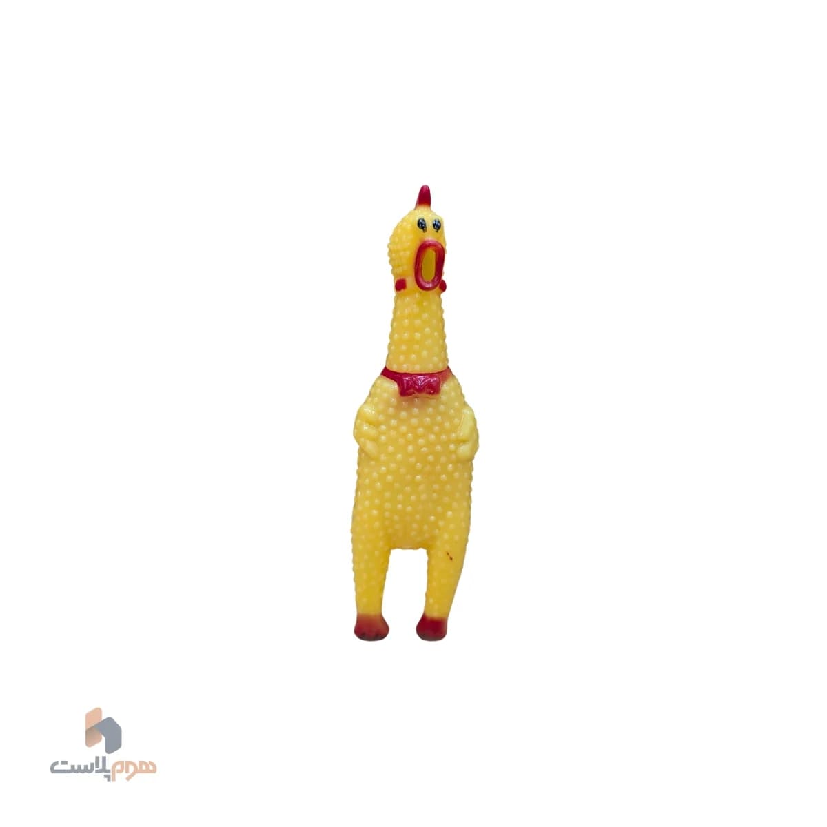 مرغ نالان کوچک