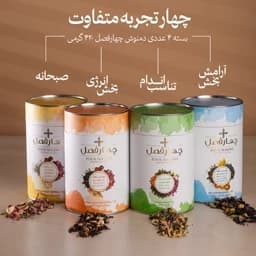 پک دمنوش چهار فصل(انرژی بخش، آرامش بخش، تناسب اندام، صبحانه) - 420 گرم — تصویر ۲