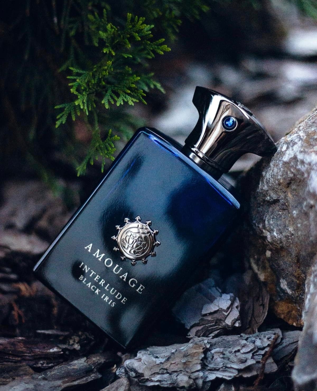 عطر ادکلن آمواج اینترلود بلک ایریس مردانه اصل | Amouage Interlude Black Iris Man 100 ml