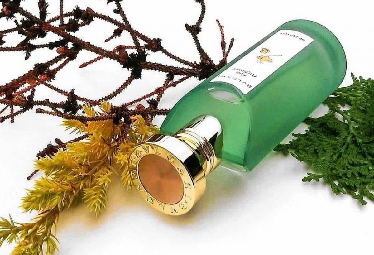 عطر ادکلن بولگاری او پارفومی او د ورت اصل | Bvlgari Eau Parfumee au The Vert 150 ml — تصویر ۳