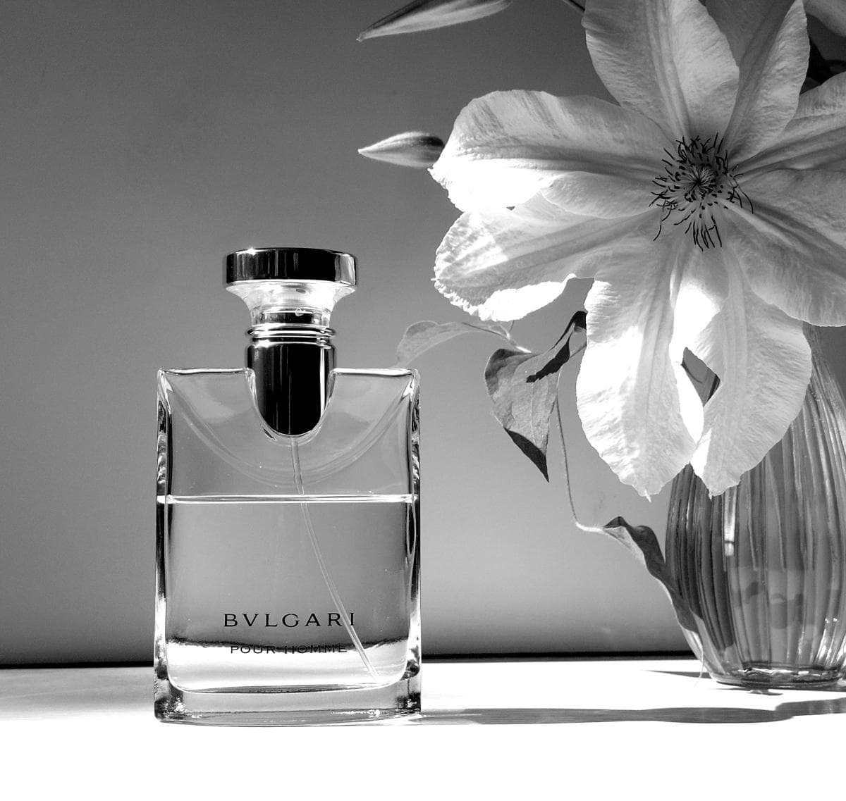 عطر ادکلن بولگاری پور هوم اصل | Bvlgari Pour Homme 100 ml
