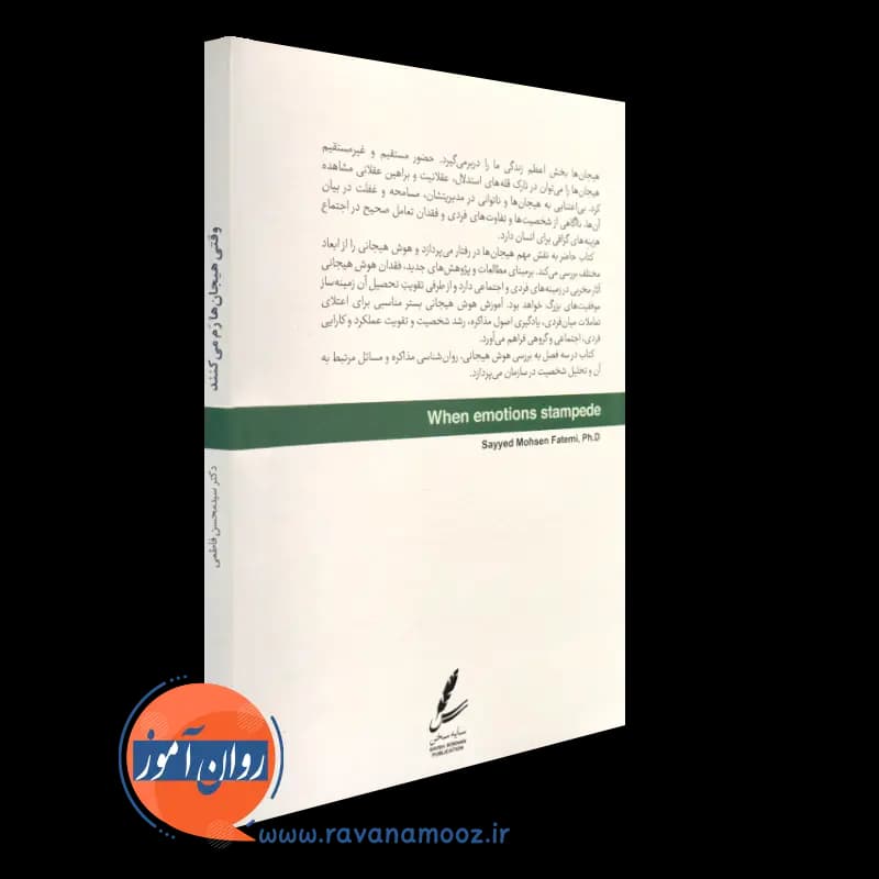 وقتی هیجان ها رم می کنند – فاطمی — تصویر ۳