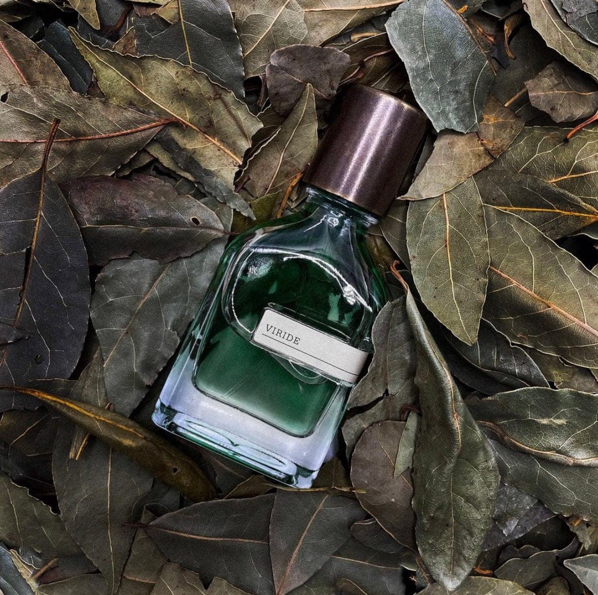 عطر ادکلن اورتو پاریسی ویرید اصل | Orto Parisi Viride 50 ml — تصویر ۳