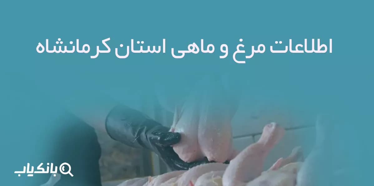 اطلاعات مرغ و ماهی استان کرمانشاه