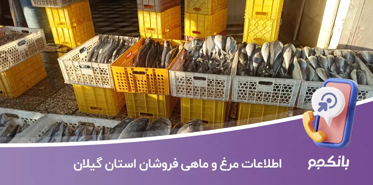 اطلاعات مرغ و ماهی فروشان استان گیلان — تصویر ۲