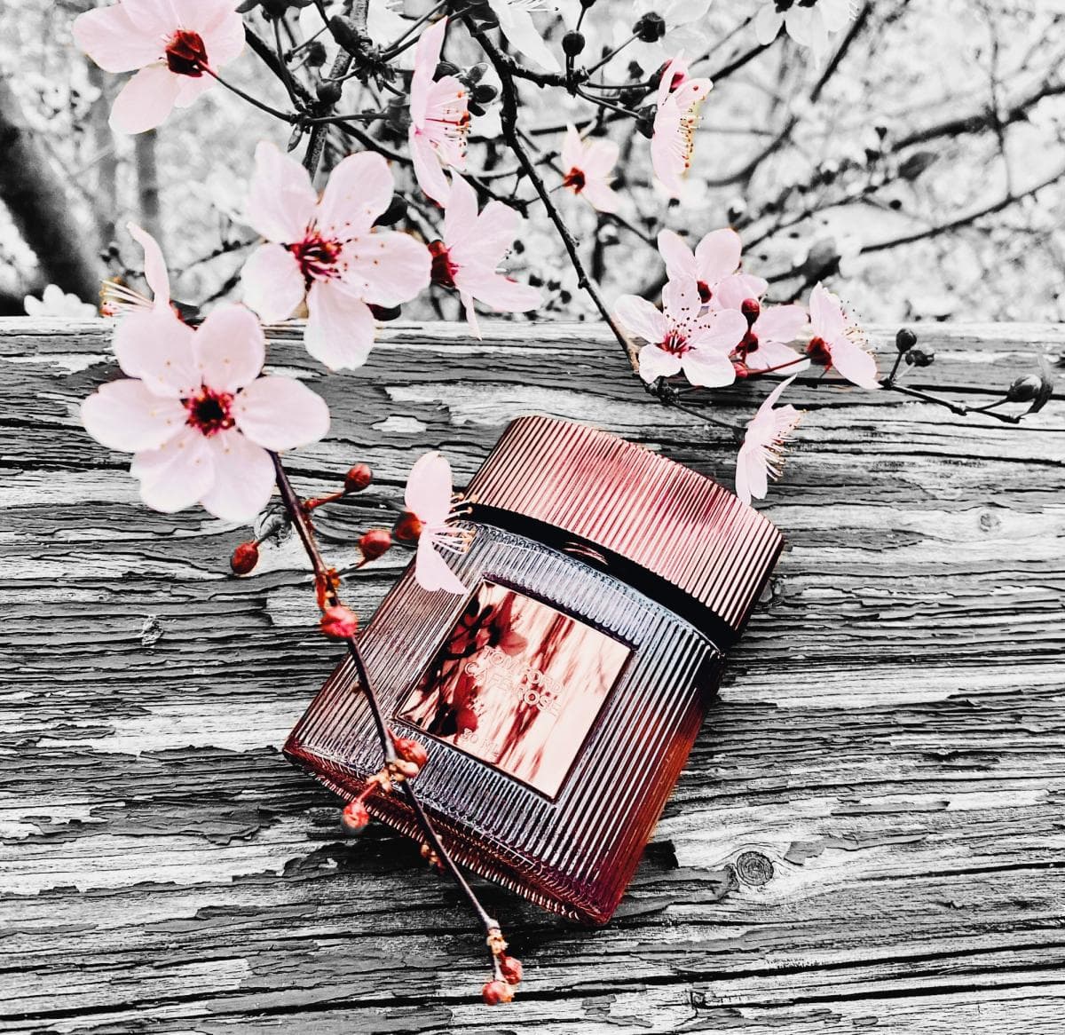 عطر ادکلن تام فورد کافه رز 2023 اصل | Tom Ford Café Rose 100 ml — تصویر ۴