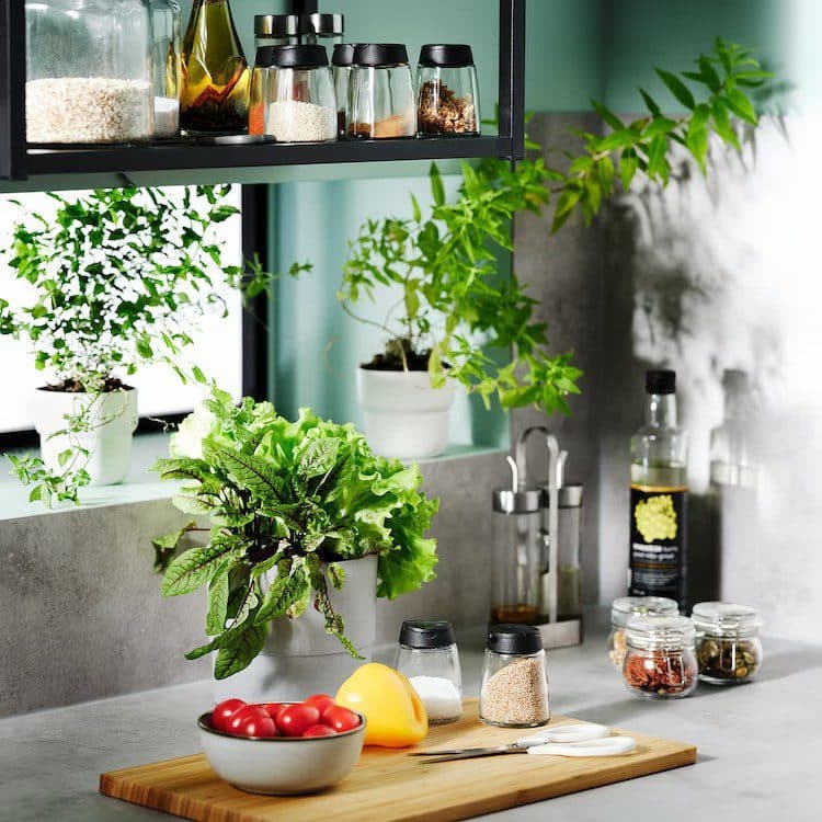 جای ادویه ایکیا IKEA 365+ IHARDIG — تصویر ۵