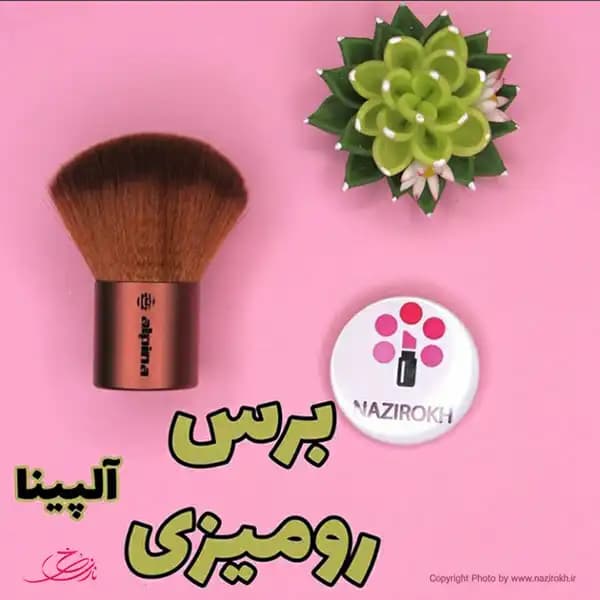 براش آرایشی آلپینا کد 501 — تصویر ۲
