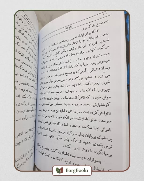 صادق هدایت 22 جلدی (جلد سخت وزیری) — تصویر ۴