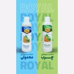 شامپو مغذی ژل رویال مخصوص موهای چرب و خشک — تصویر ۲