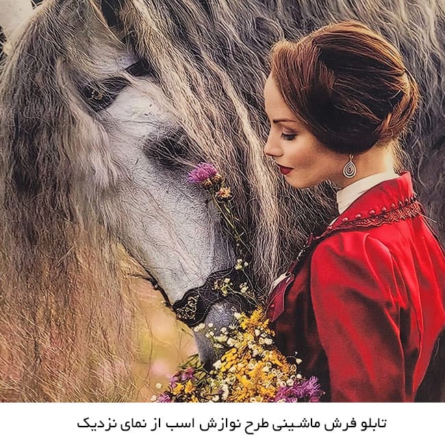 تابلو فرش ماشینی طرح نوازش اسب – 6442 — تصویر ۳