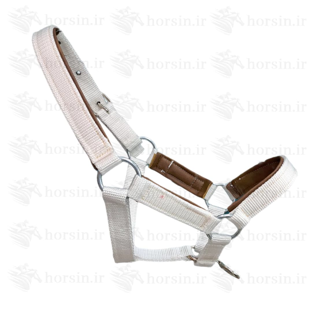 کله گیر برزنتی پددار
