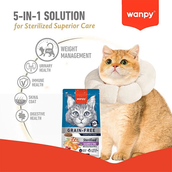 غذای خشک گربه عقیم شده بدون غلات طعم ماهی تن و سالمون ونپی Wanpy وزن 8 کیلوگرم — تصویر ۶