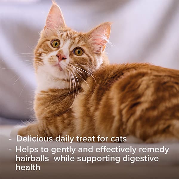 خمیر مالت گربه بیفار beaphar وزن 100 گرم — تصویر ۷