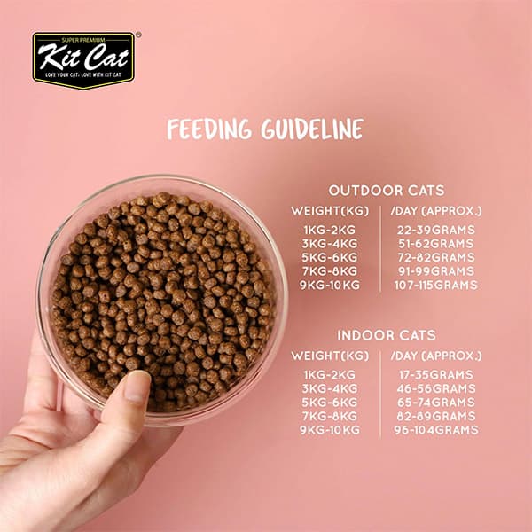 غذای خشک گربه بدون غلات طعم مرغ و بوقلمون کیت کت kit cat وزن 1 کیلوگرم — تصویر ۴