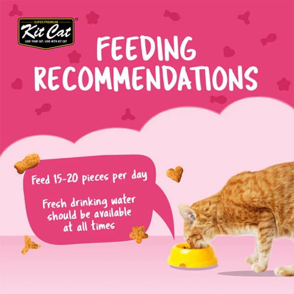 تشویقی گربه کرانچی طعم تن ماهی کیت کت kit cat وزن 60 گرم — تصویر ۵