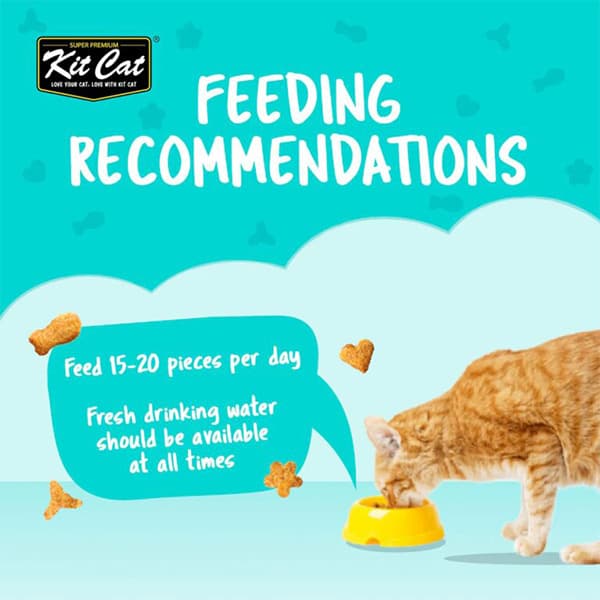 تشویقی گربه کرانچی طعم بره کت kit cat وزن 60 گرم — تصویر ۶