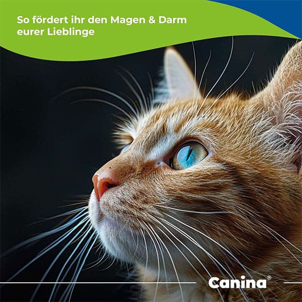 مکمل تقویتی سگ و گربه عصاره پیت کنینا canina حجم 250 میلی لیتر — تصویر ۴