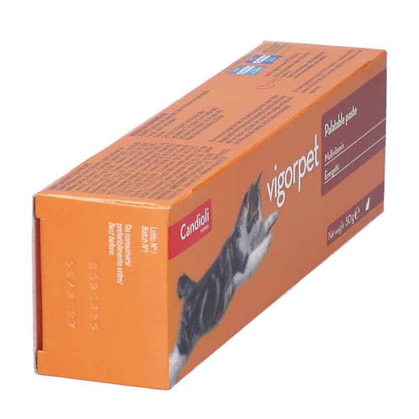 مکمل تقویتی گربه خمیر مولتی ویتامین ویگور پت کاندیولی candioli وزن 50 گرم — تصویر ۳