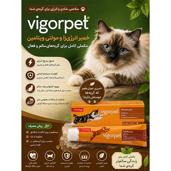 مکمل تقویتی گربه خمیر مولتی ویتامین ویگور پت کاندیولی candioli وزن 50 گرم — تصویر ۴