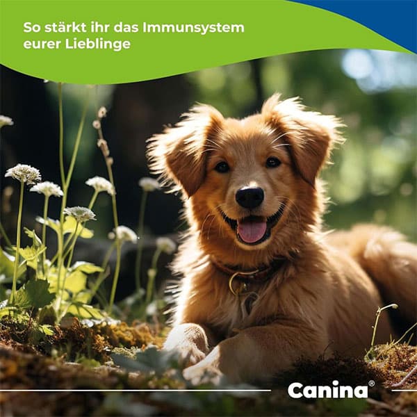 مکمل تقویتی سیستم ایمنی سگ و گربه خمیر ایمیون بوستر کنینا canina حجم 15 میلی لیتر — تصویر ۵