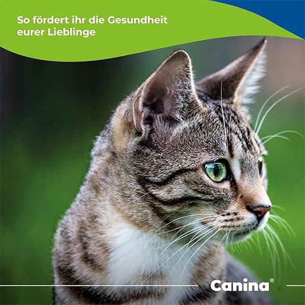 مکمل تقویتی سگ و گربه پودر پوسته تخم مرغ کنینا canina وزن 250 گرم — تصویر ۳