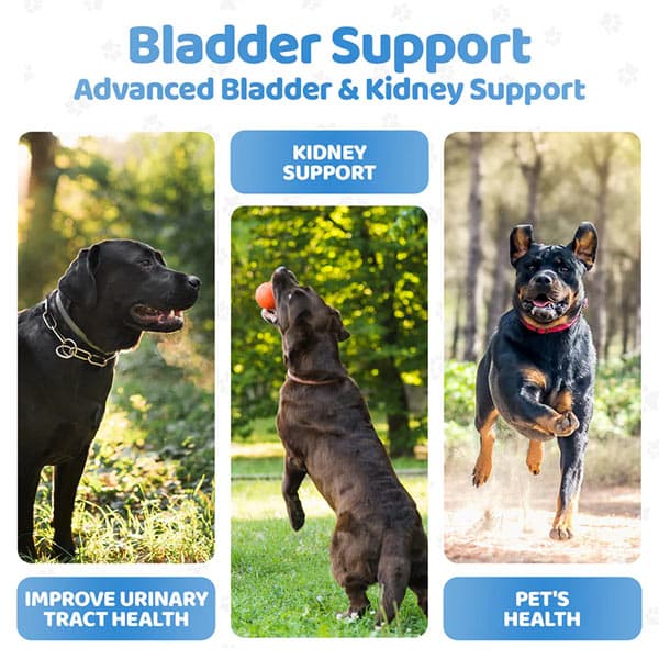 مکمل تقویتی سگ جویدنی بلدر ساپورت اور داگز لایف our dogs life تعداد 140 عدد — تصویر ۶