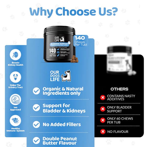 مکمل تقویتی سگ جویدنی بلدر ساپورت اور داگز لایف our dogs life تعداد 140 عدد — تصویر ۸